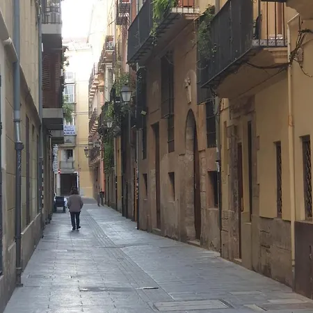 Privat bolig Homestay/center. Valencia